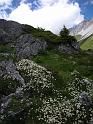 20080705_teuri 099